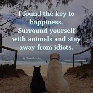 Meet your Posher, April